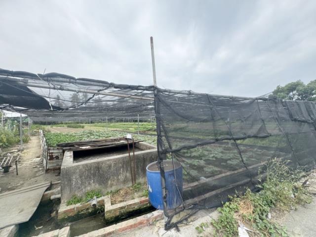 台南南區農地-6