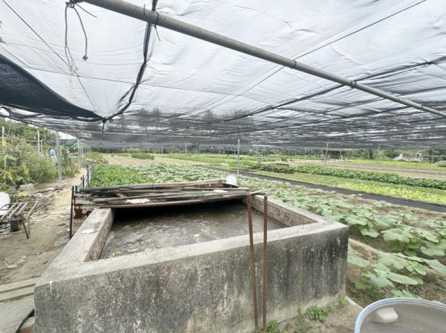 台南南區農地-7