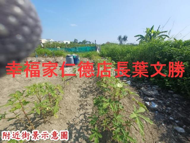 台南安南農地-0