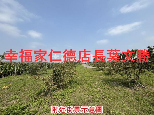 台南鹽水農地-10