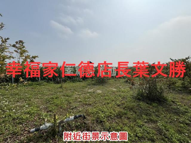 台南鹽水農地-5