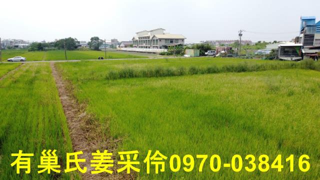 西區農地-14