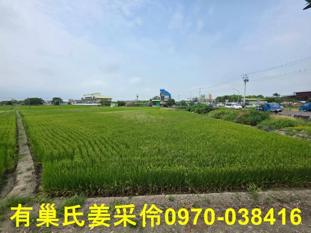 西區農地-6