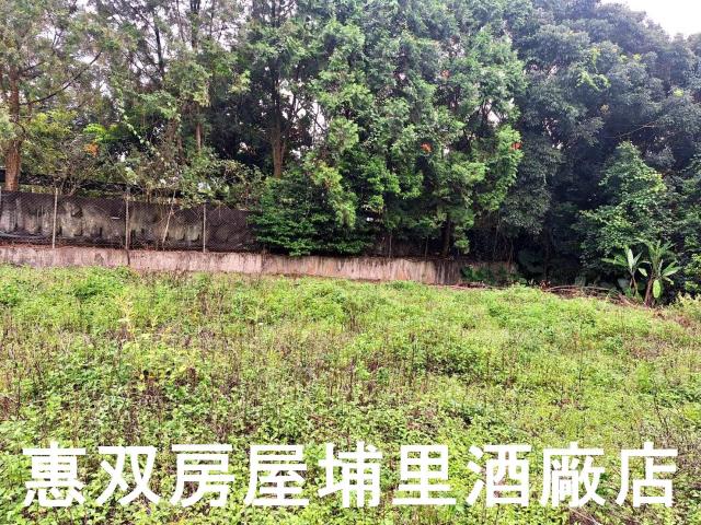 埔里農地-1