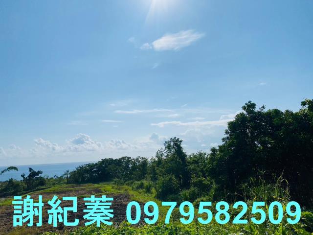 長濱農地-0