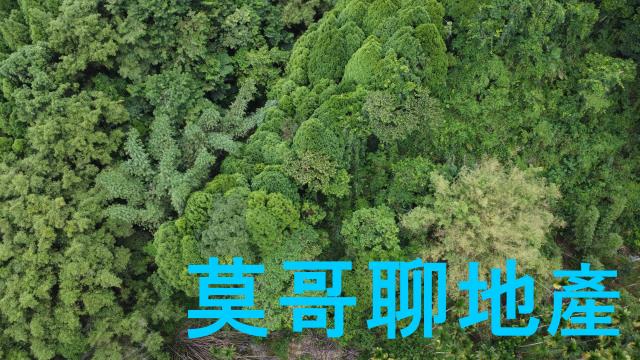 東勢林地-4
