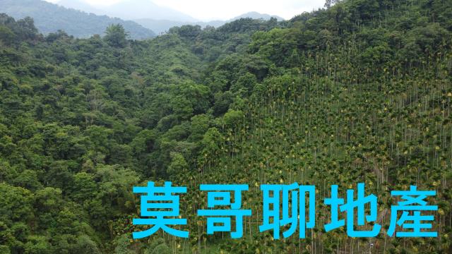 東勢林地-6