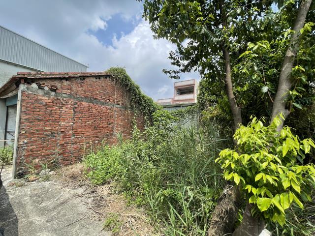 燕巢建地-0
