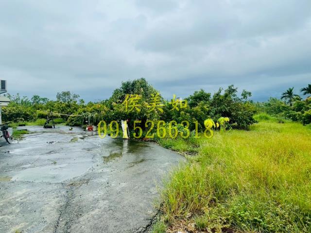 水上農地-2