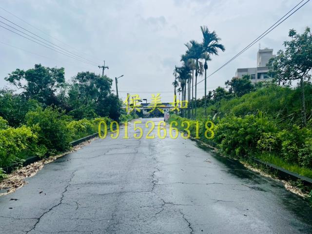 水上農地-7