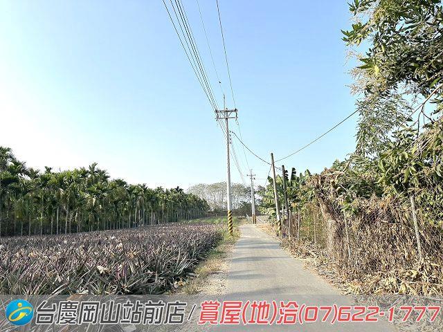 屏東高樹農地-12