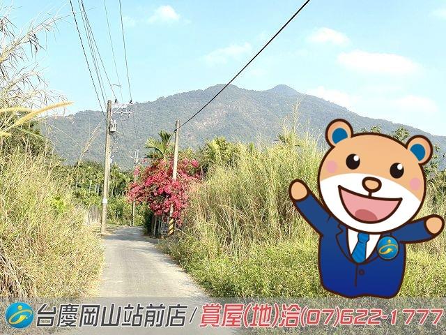 屏東高樹農地-0