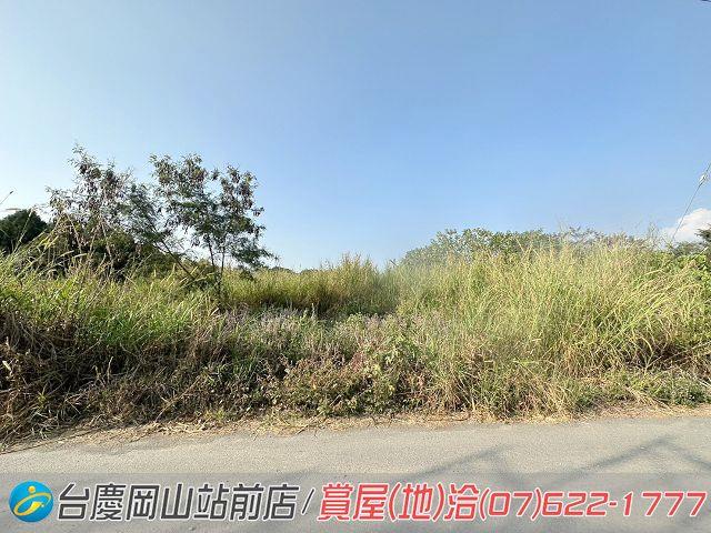 屏東高樹農地-5