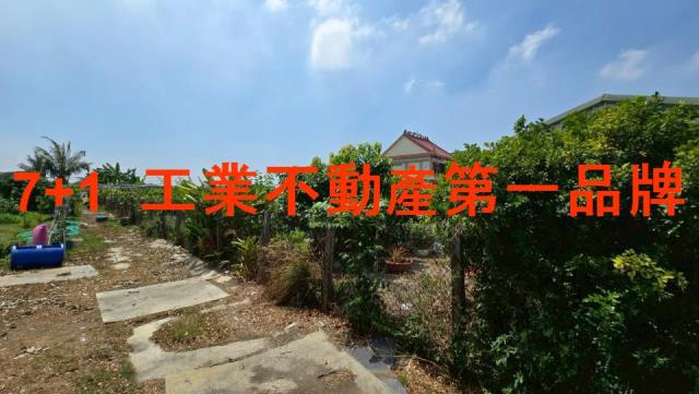 高雄大寮農地-2