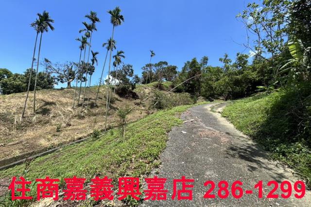 番路農地-1