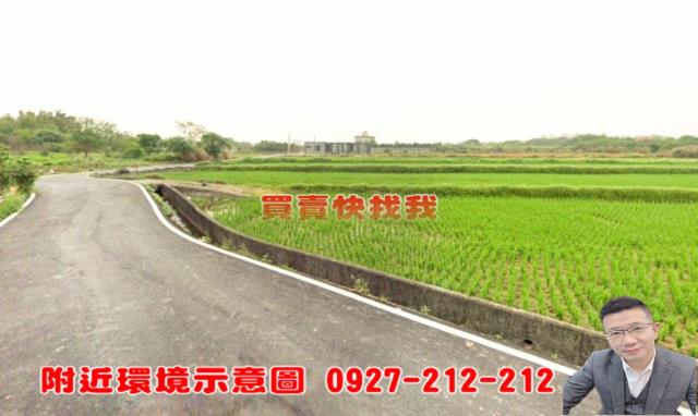 新豐農地-5