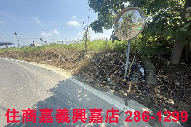 中埔農地-2