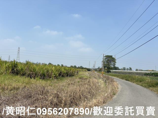 新市農地-11