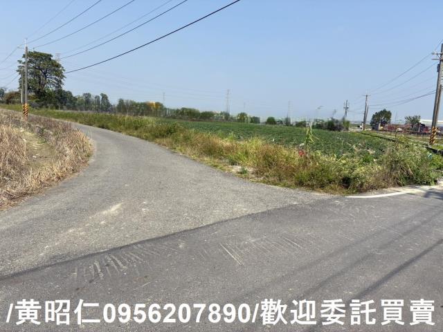 新市農地-3