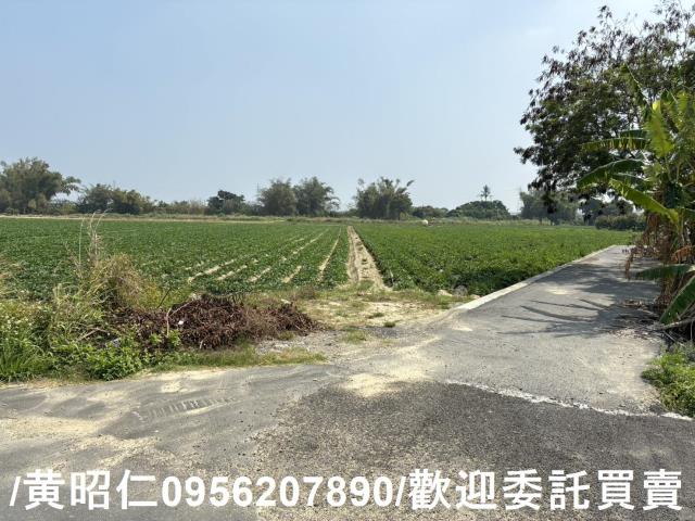 新市農地-4