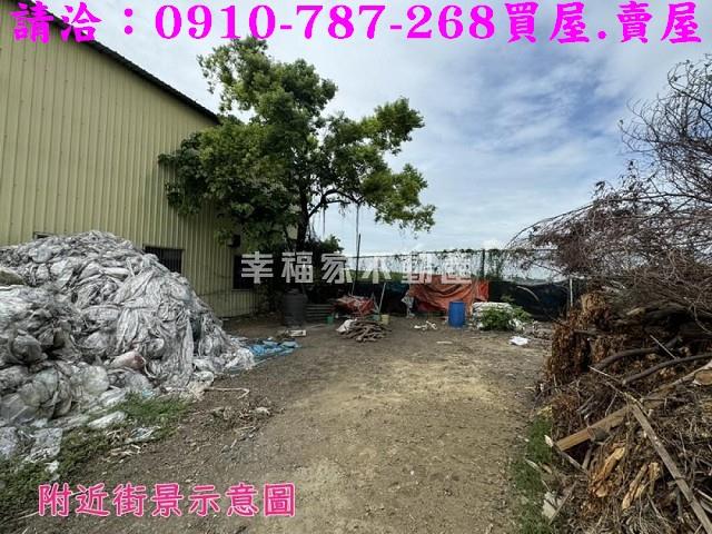 水上農地-10