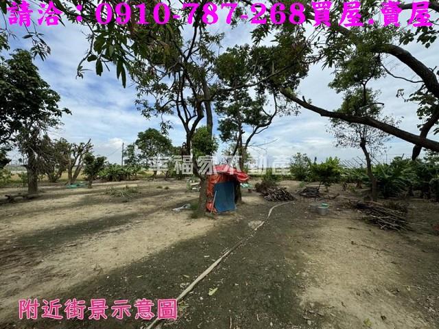 水上農地-13