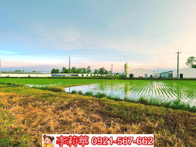 六甲農地-9