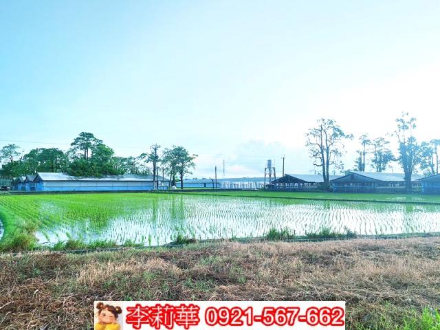 六甲農地-10