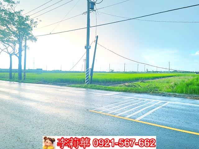六甲農地-1