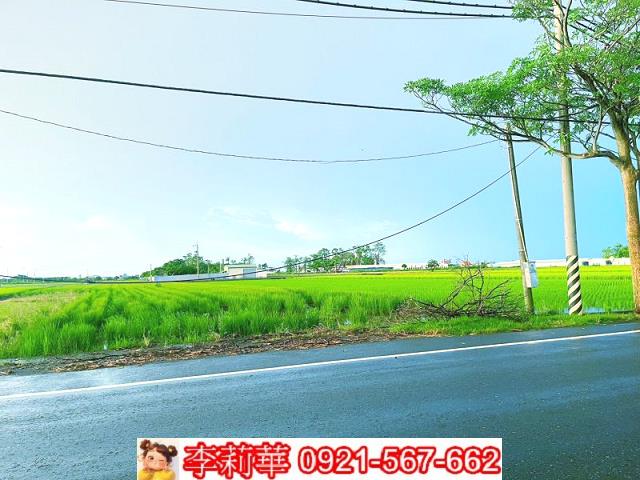 六甲農地-2