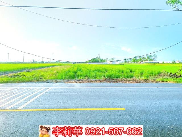 六甲農地-3