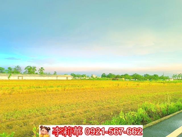 六甲農地-6