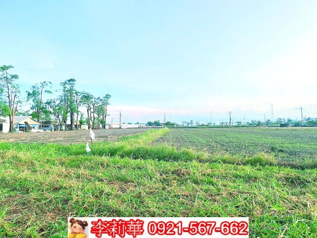 六甲農地-8