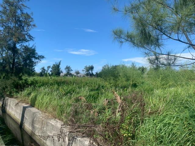 四湖農地-3