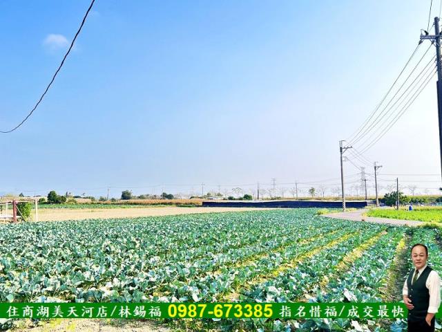 台南仁德農地-0