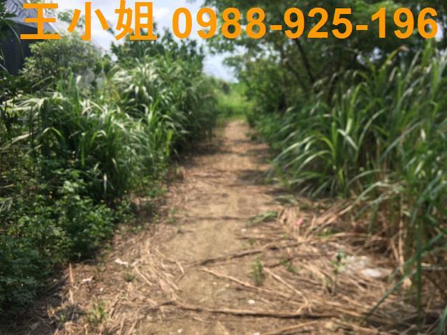 桃園桃園區農地-0