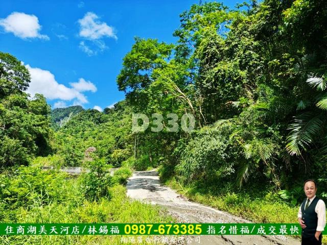 花蓮瑞穗農地-0