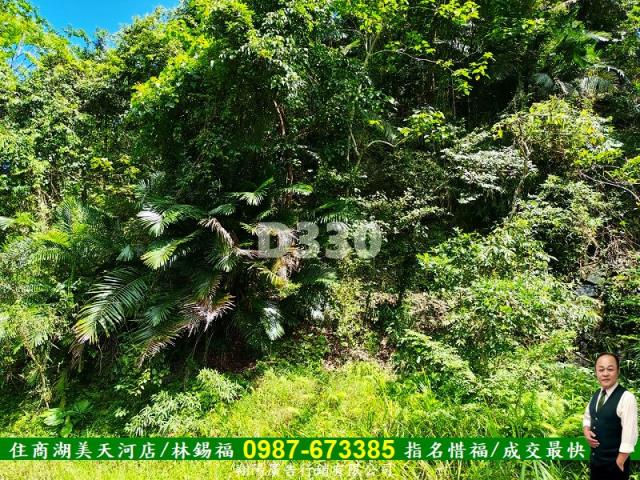 花蓮瑞穗農地-1