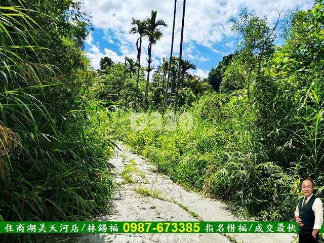 花蓮瑞穗農地-2