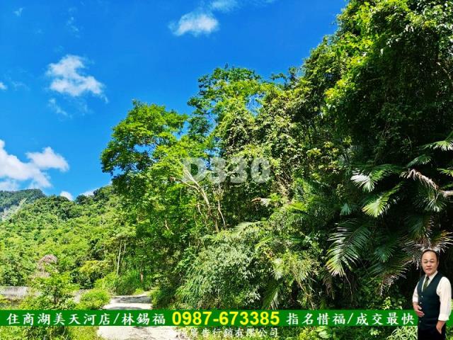 花蓮瑞穗農地-3