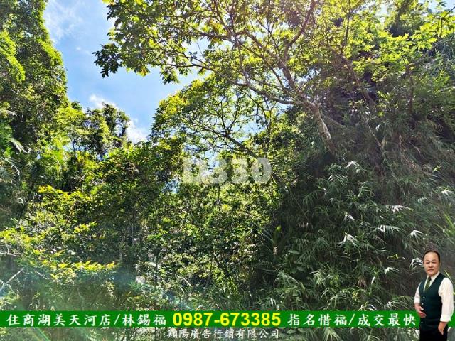 花蓮瑞穗農地-4