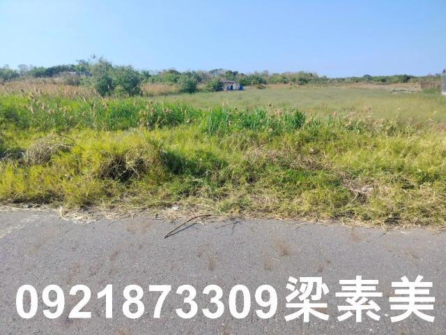 台南安南建地-3