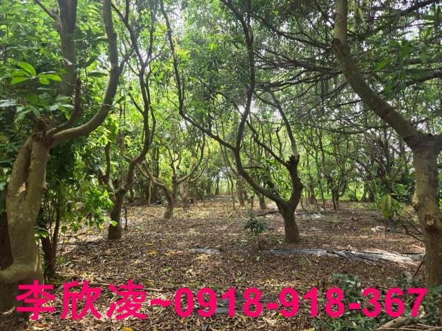 嘉義六腳農地-2