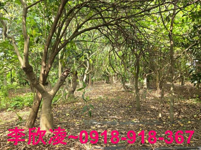 嘉義六腳農地-4