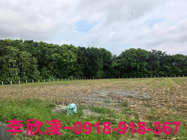 嘉義六腳農地-8