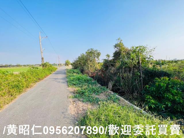 佳里興雙面路759松柏農地
