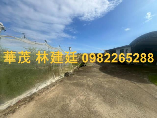 玉井農地法拍-5