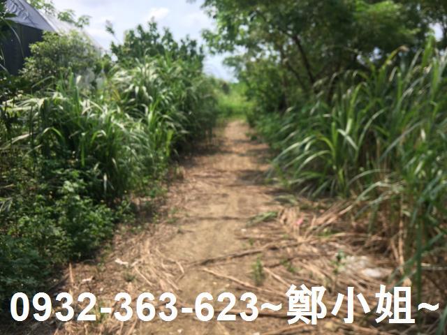 桃園區農地-2