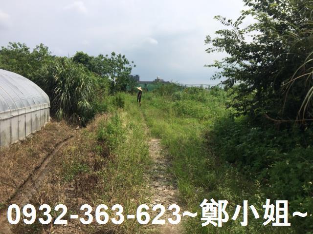桃園區農地-3