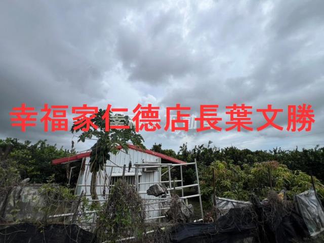 台南麻豆農地-9